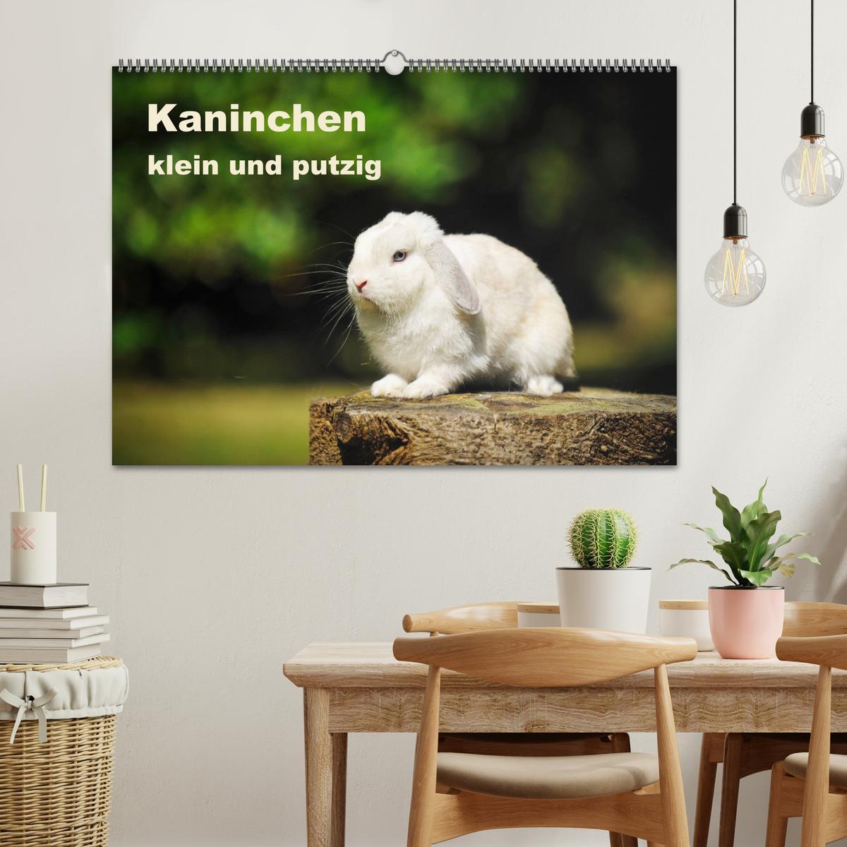 Bild: 9783435340866 | Kaninchen klein und putzig (Wandkalender 2025 DIN A2 quer),...