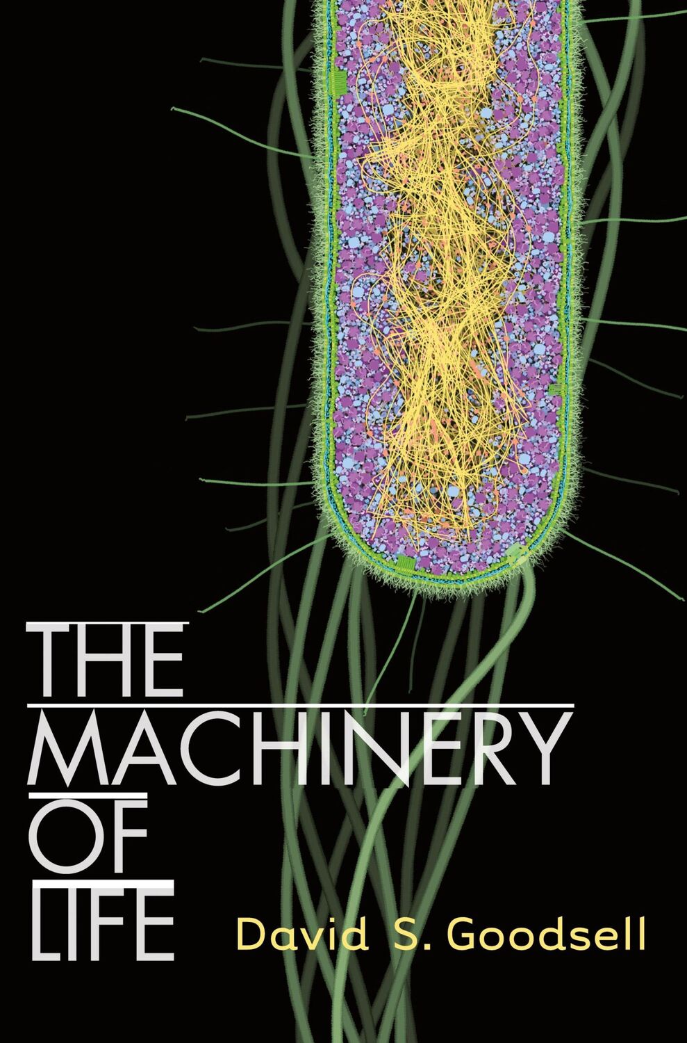 Cover: 9780387849249 | The Machinery of Life | David S. Goodsell | Buch | xii | Englisch