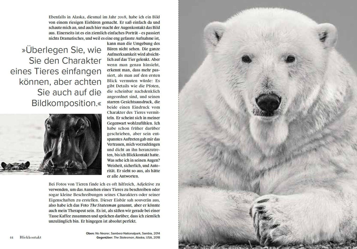 Bild: 9783038762140 | Wie ich Fotos mache | Masters of Photography | David Yarrow | Buch