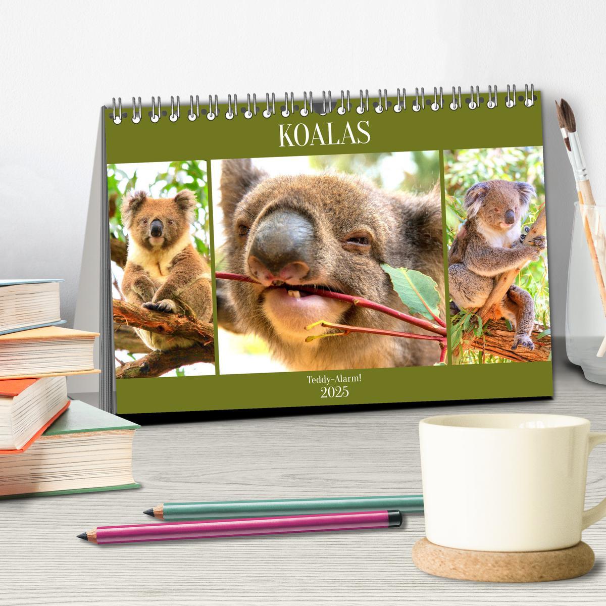 Bild: 9783435049752 | Koalas. Teddy-Alarm! (Tischkalender 2025 DIN A5 quer), CALVENDO...