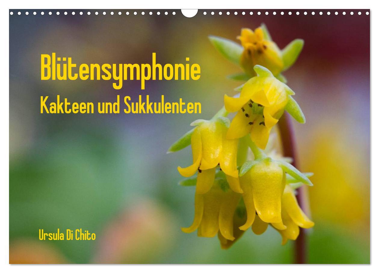 Cover: 9783435624393 | Blütensymphonie - Kakteen und Sukkulenten (Wandkalender 2025 DIN A3...