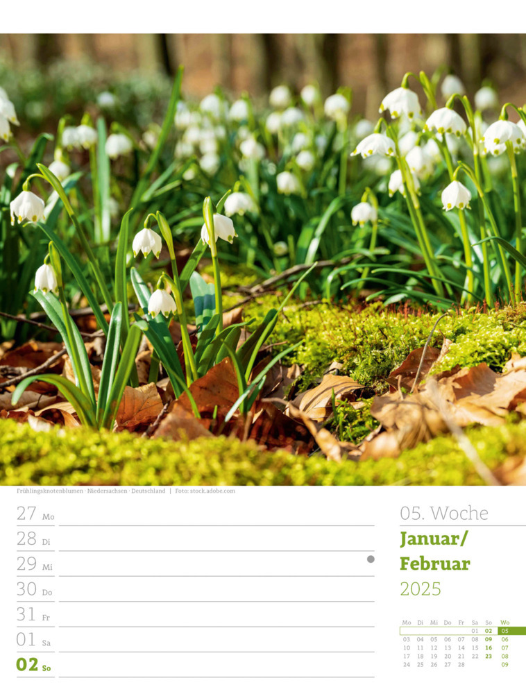 Bild: 9783838425979 | Unser Wald - Wochenplaner Kalender 2025 | Ackermann Kunstverlag | 2025