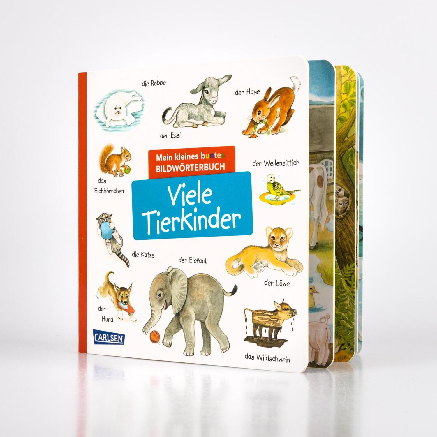 Bild: 9783551173034 | Mein kleines buntes Bildwörterbuch: Viele Tierkinder | Henkel | Buch