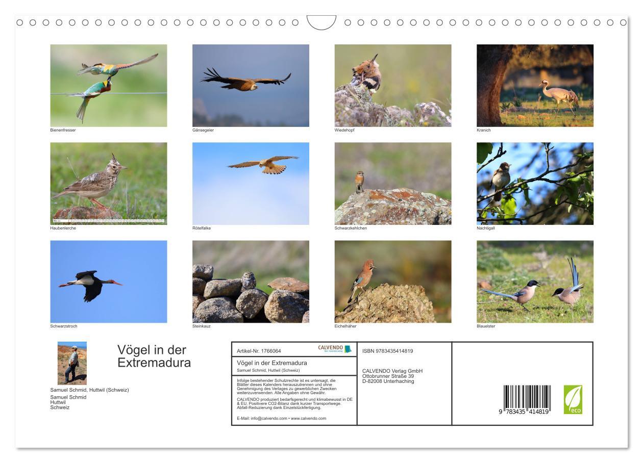 Bild: 9783435414819 | Vögel in der Extremadura (Wandkalender 2025 DIN A3 quer), CALVENDO...