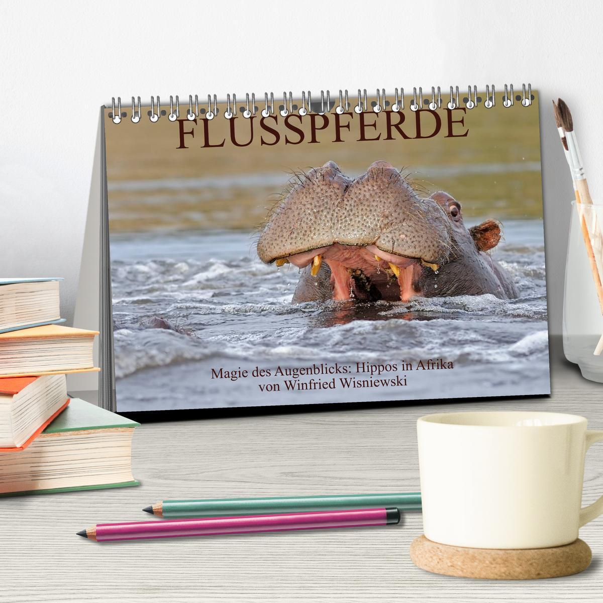 Bild: 9783435762026 | Flusspferde Magie des Augenblicks - Hippos in Afrika (Tischkalender...