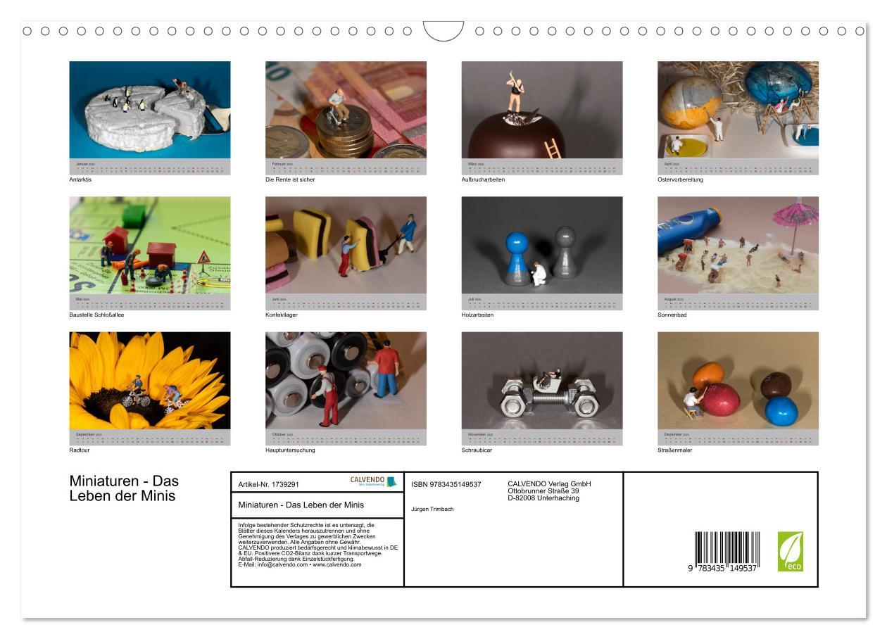 Bild: 9783435149537 | Miniaturen - Das Leben der Minis (Wandkalender 2025 DIN A3 quer),...