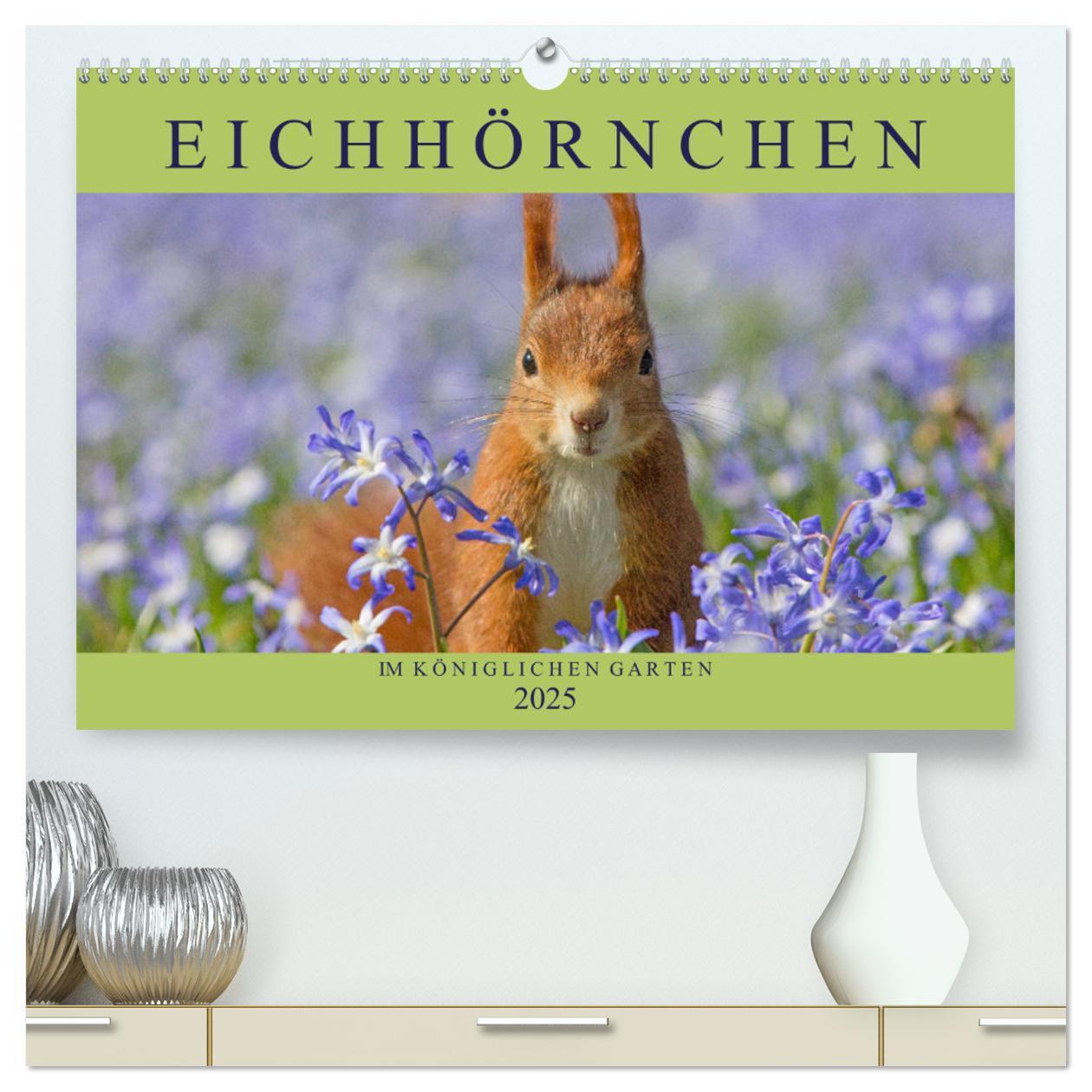 Cover: 9783435665587 | Eichhörnchen im Königlichen Garten (hochwertiger Premium...