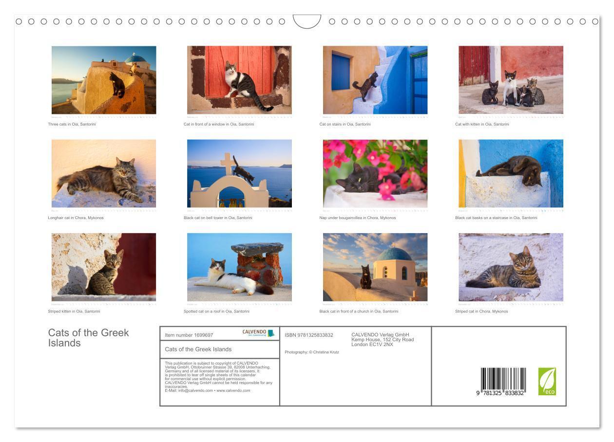 Bild: 9781325833832 | Cats of the Greek Islands (Wall Calendar 2025 DIN A3 landscape),...