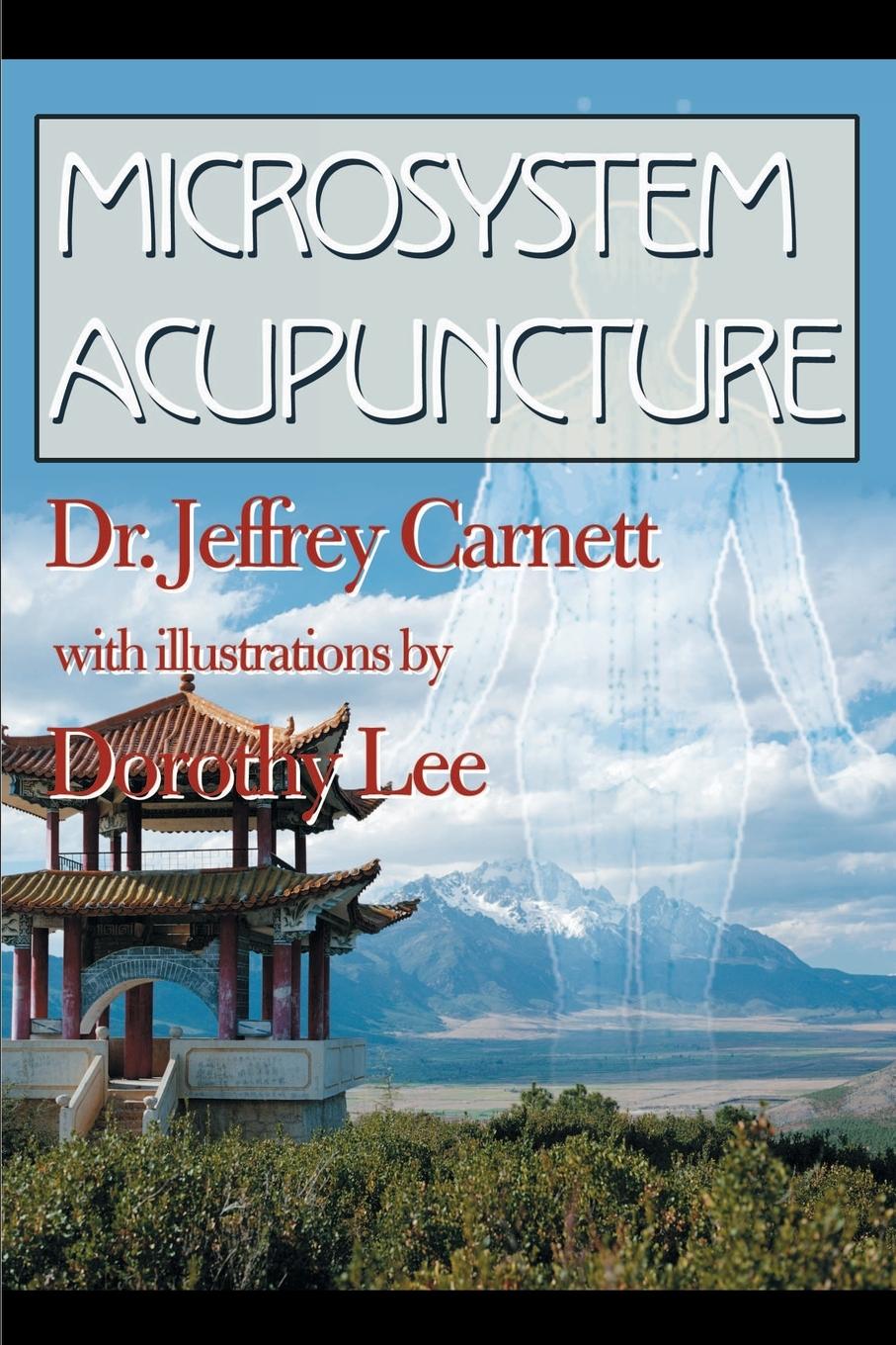 Cover: 9780595143801 | Microsystem Acupuncture | Jeffrey Carnett | Taschenbuch | Paperback