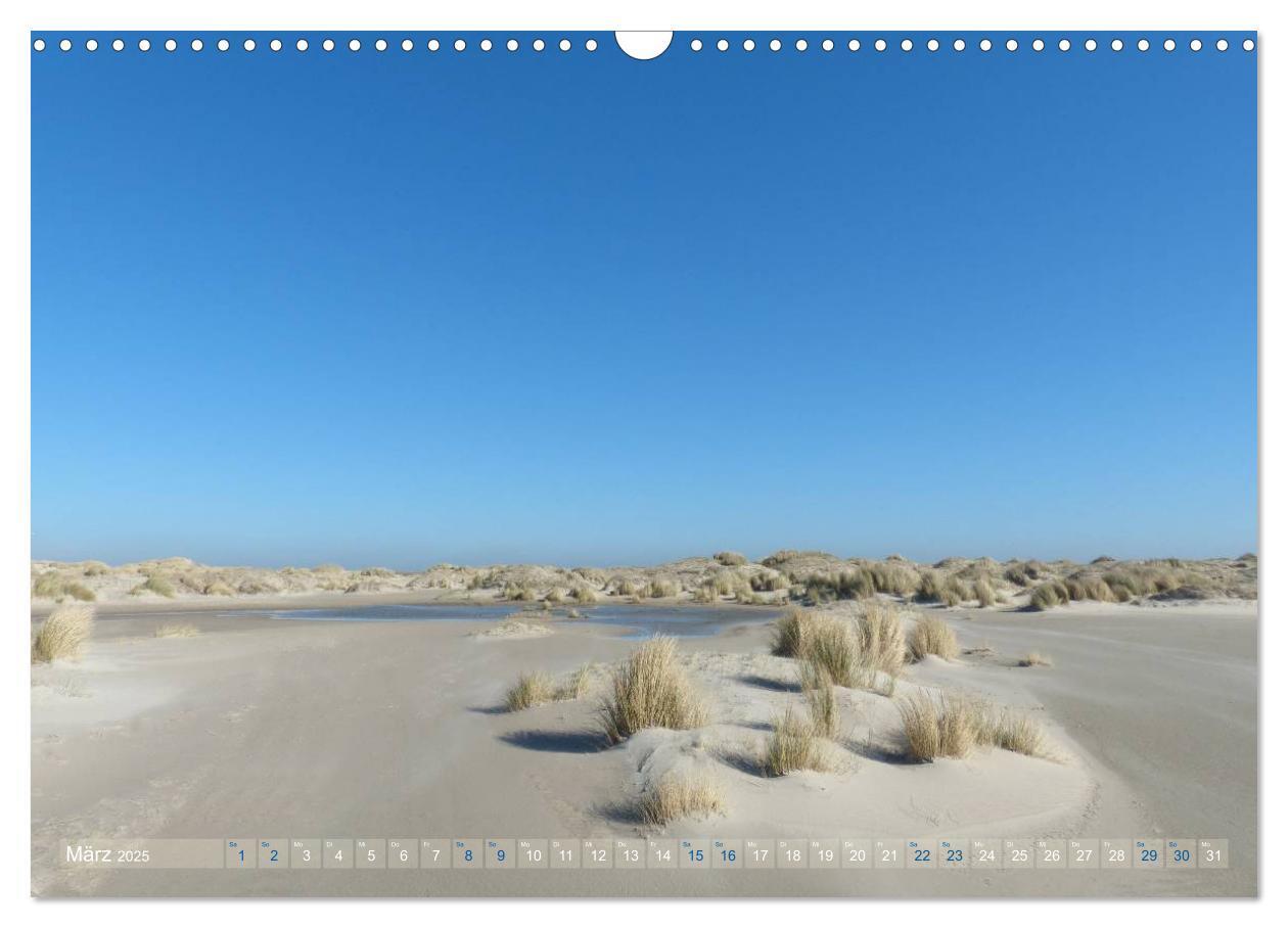 Bild: 9783435660780 | Texel. Neue Dünen (Wandkalender 2025 DIN A3 quer), CALVENDO...