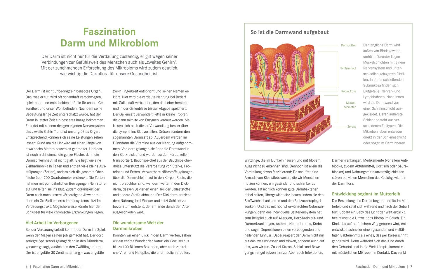 Bild: 9783965842861 | Die Ernährungs-Docs - Gesund abnehmen mit der Darm-fit-Formel | Buch