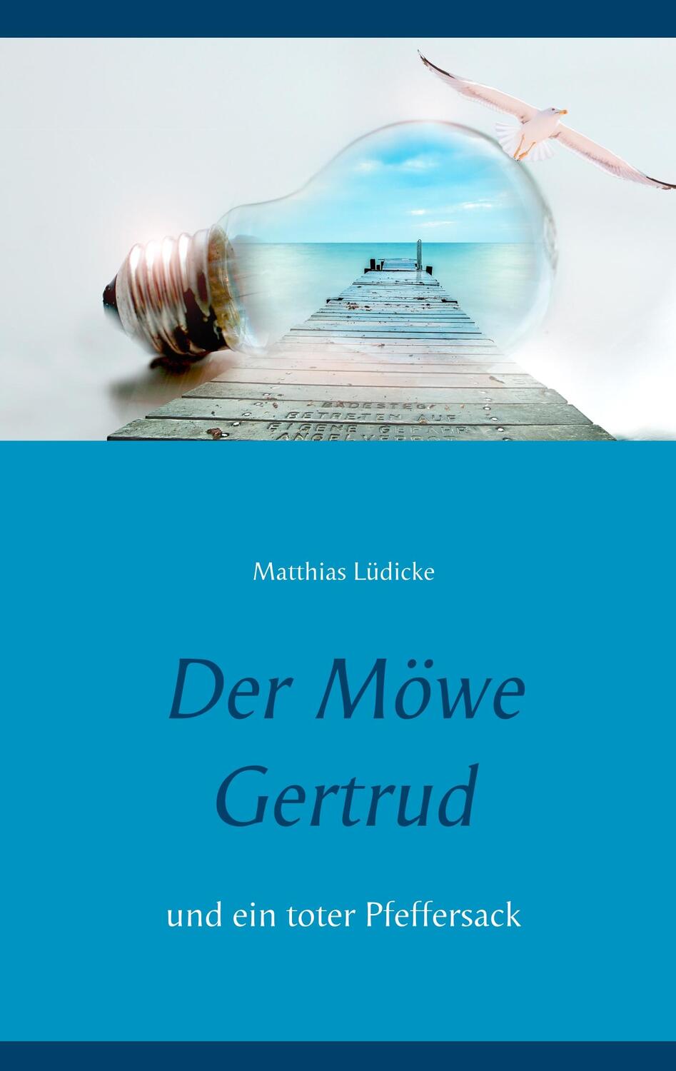 Cover: 9783744818070 | Der Möwe Gertrud | und ein toter Pfeffersack | Matthias Lüdicke | Buch