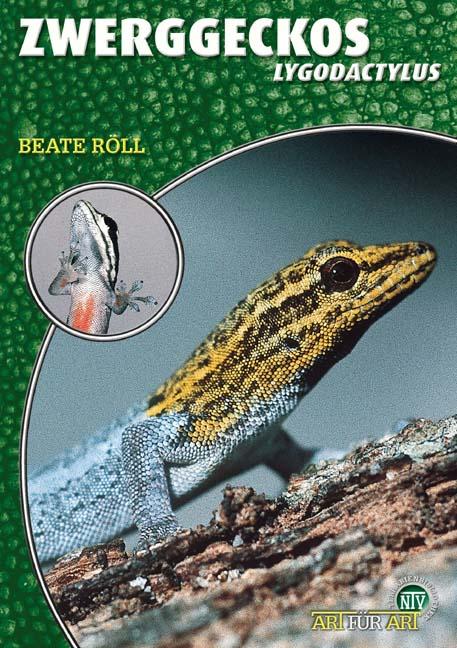 Cover: 9783937285160 | Zwerggeckos | Lygodactylus | Beate Röll | Taschenbuch | Art für Art