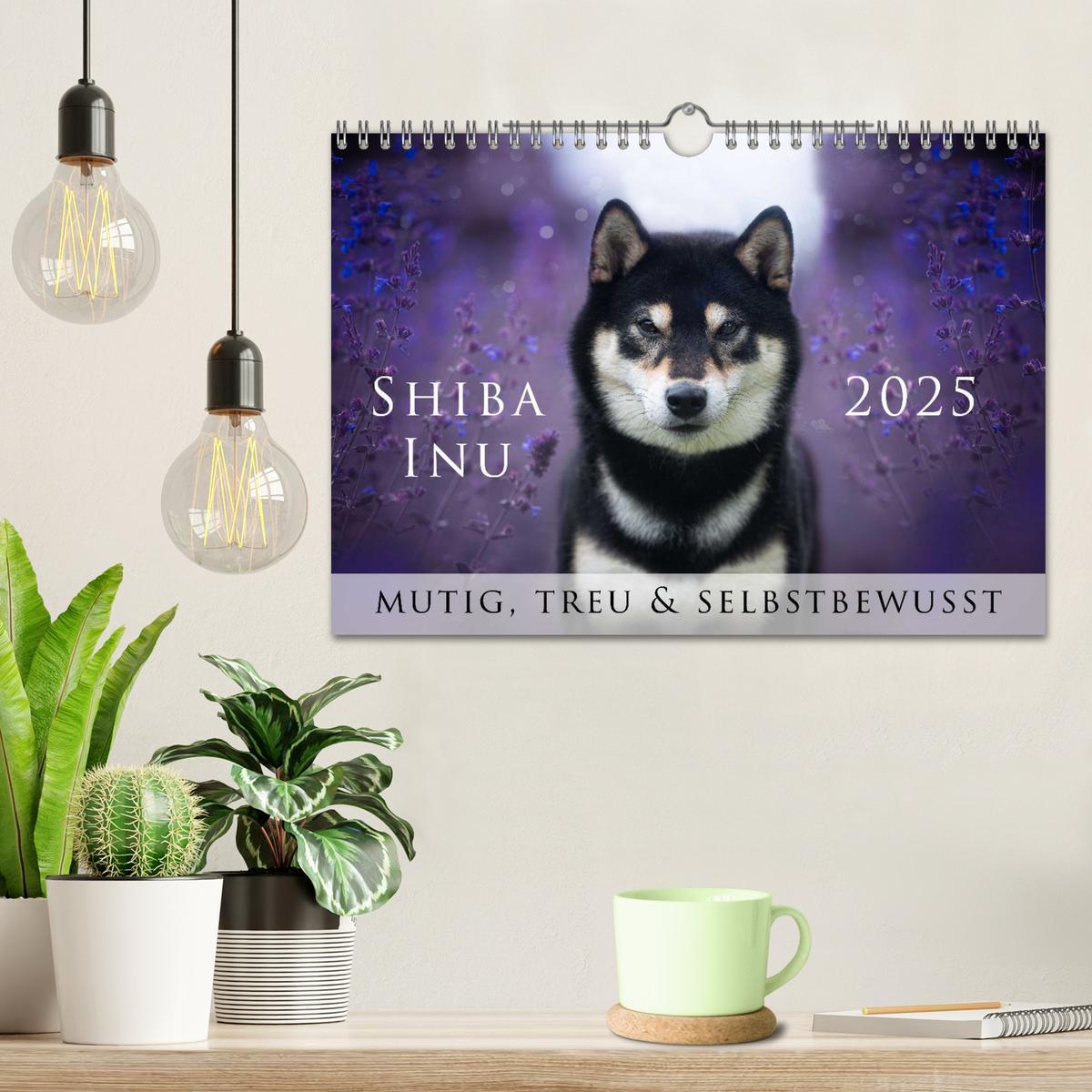 Bild: 9783457234167 | Shiba Inu - mutig, treu, selbstbewusst (Wandkalender 2025 DIN A4...