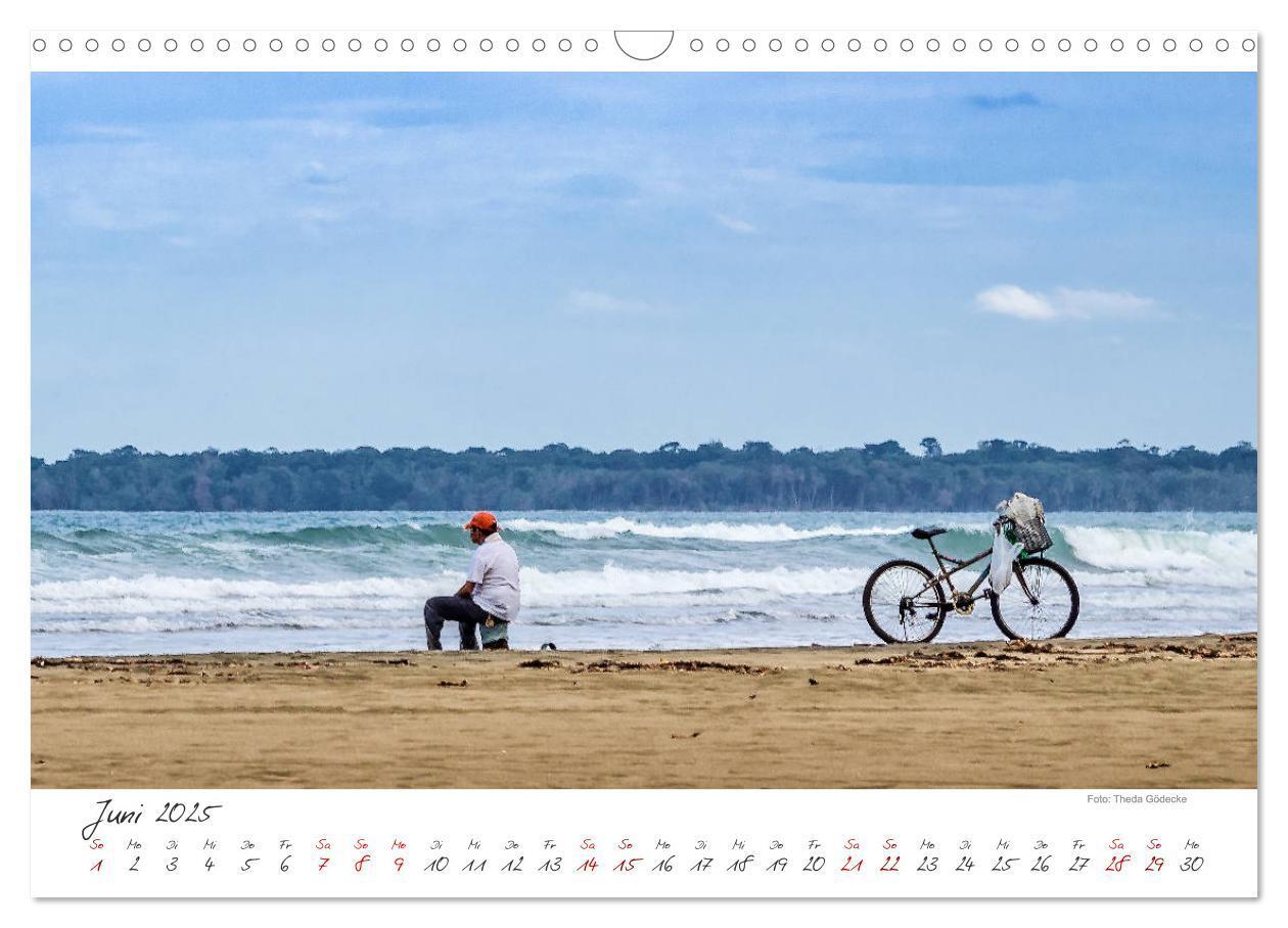 Bild: 9783435372492 | Natur pur, Costa Rica (Wandkalender 2025 DIN A3 quer), CALVENDO...