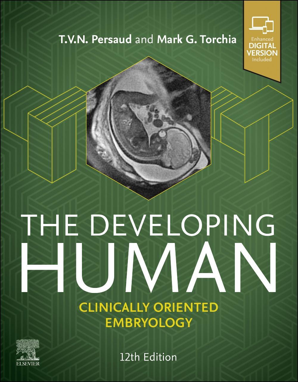 Cover: 9780443116988 | The Developing Human | Clinically Oriented Embryology | Taschenbuch