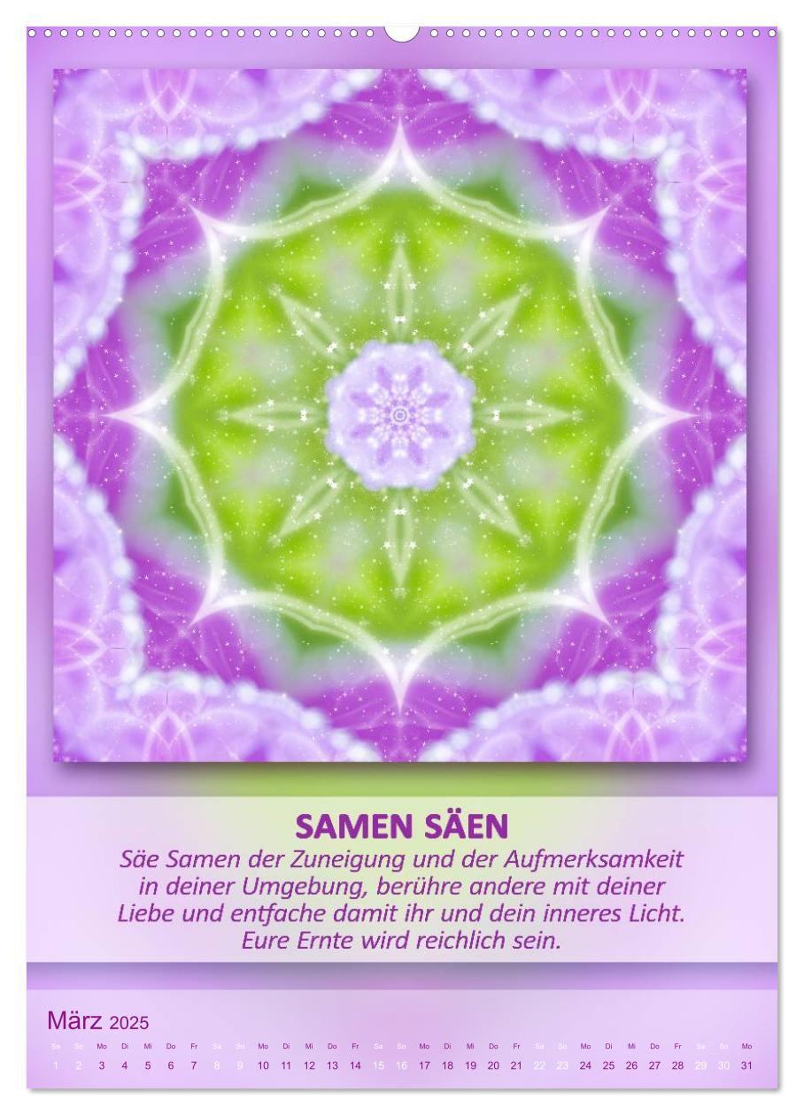 Bild: 9783457060193 | Light Energy Mandalas - Kalender - Vol. 2 (Wandkalender 2025 DIN A2...