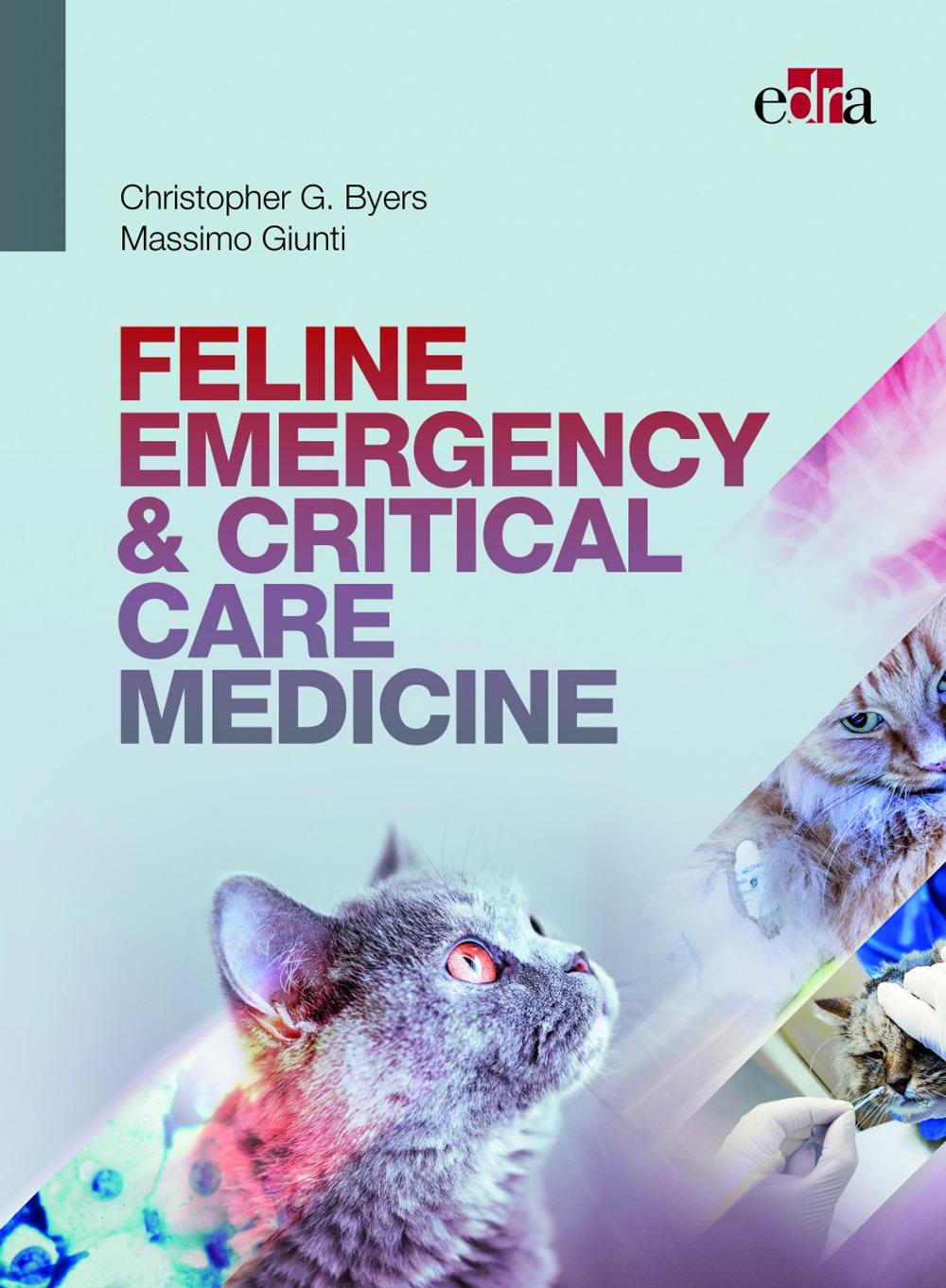 Cover: 9788821453403 | FELINE EMERGENCY &amp; CRITICAL CARE MEDICINE | Byers (u. a.) | Buch