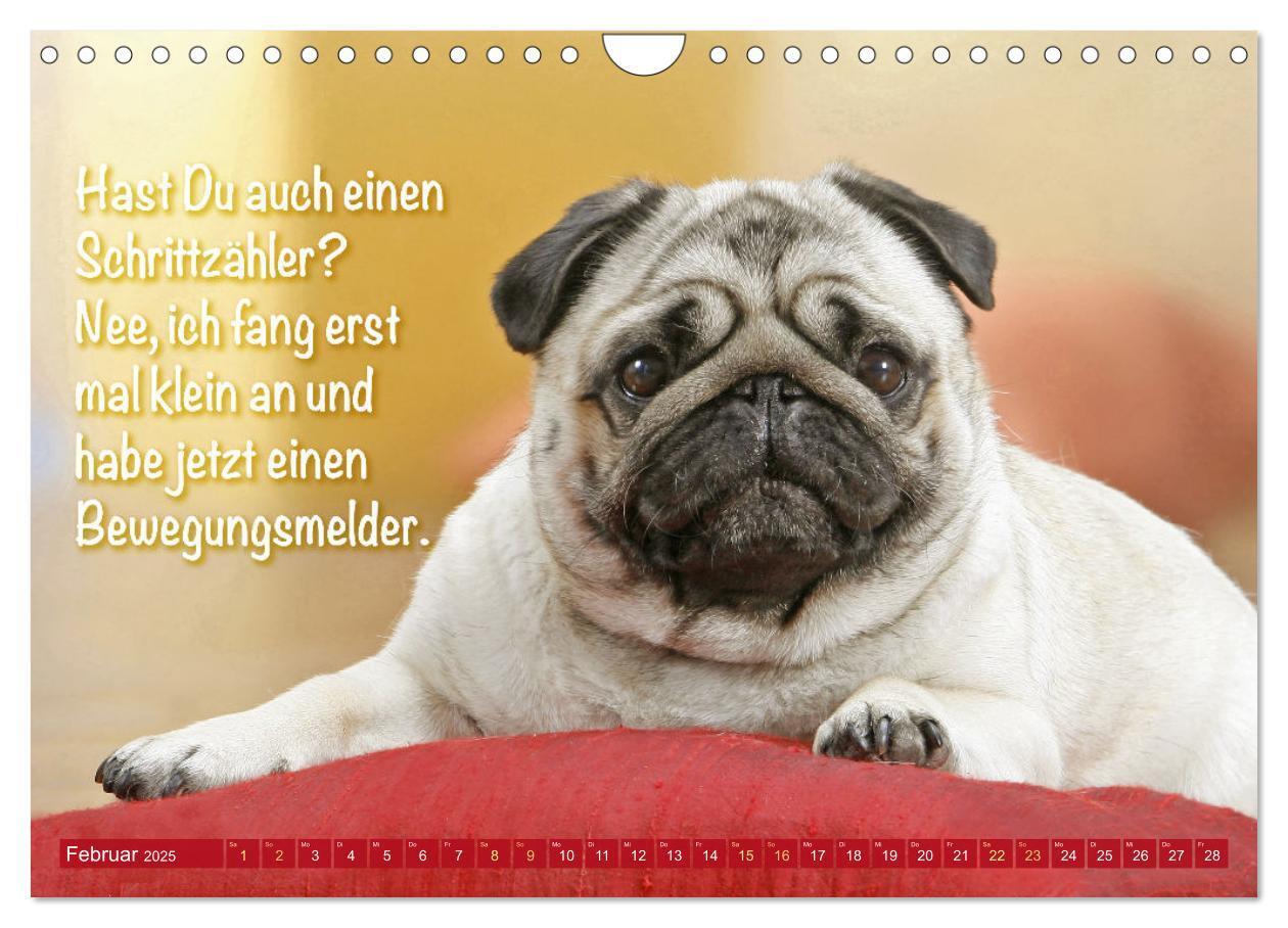 Bild: 9783457167144 | Lächeln mit Mops (Wandkalender 2025 DIN A4 quer), CALVENDO...