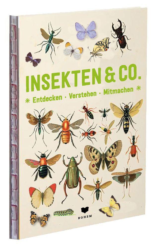 Bild: 9783959390958 | INSEKTEN &amp; Co. | Roots | Buch | 64 S. | Deutsch | 2021