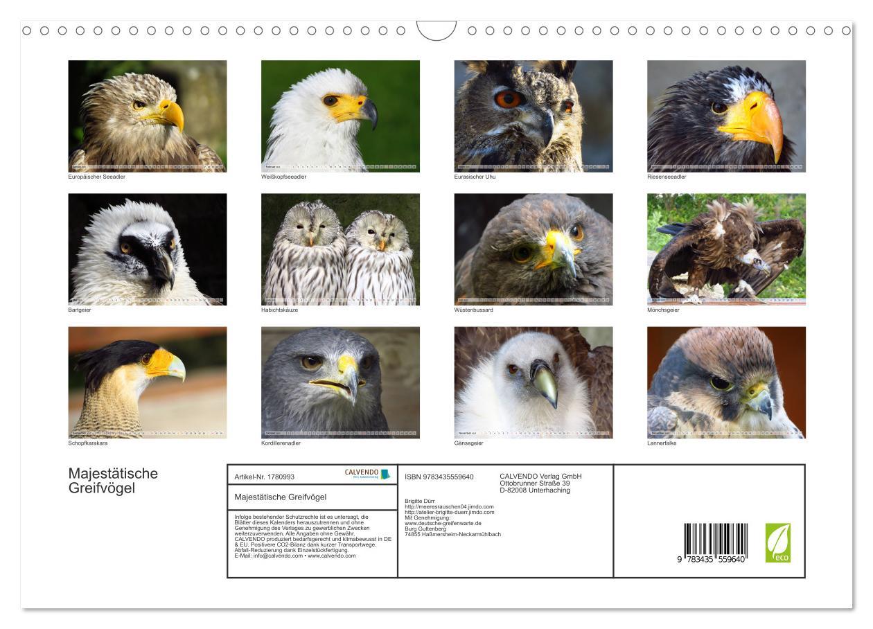 Bild: 9783435559640 | Majestätische Greifvögel (Wandkalender 2025 DIN A3 quer), CALVENDO...