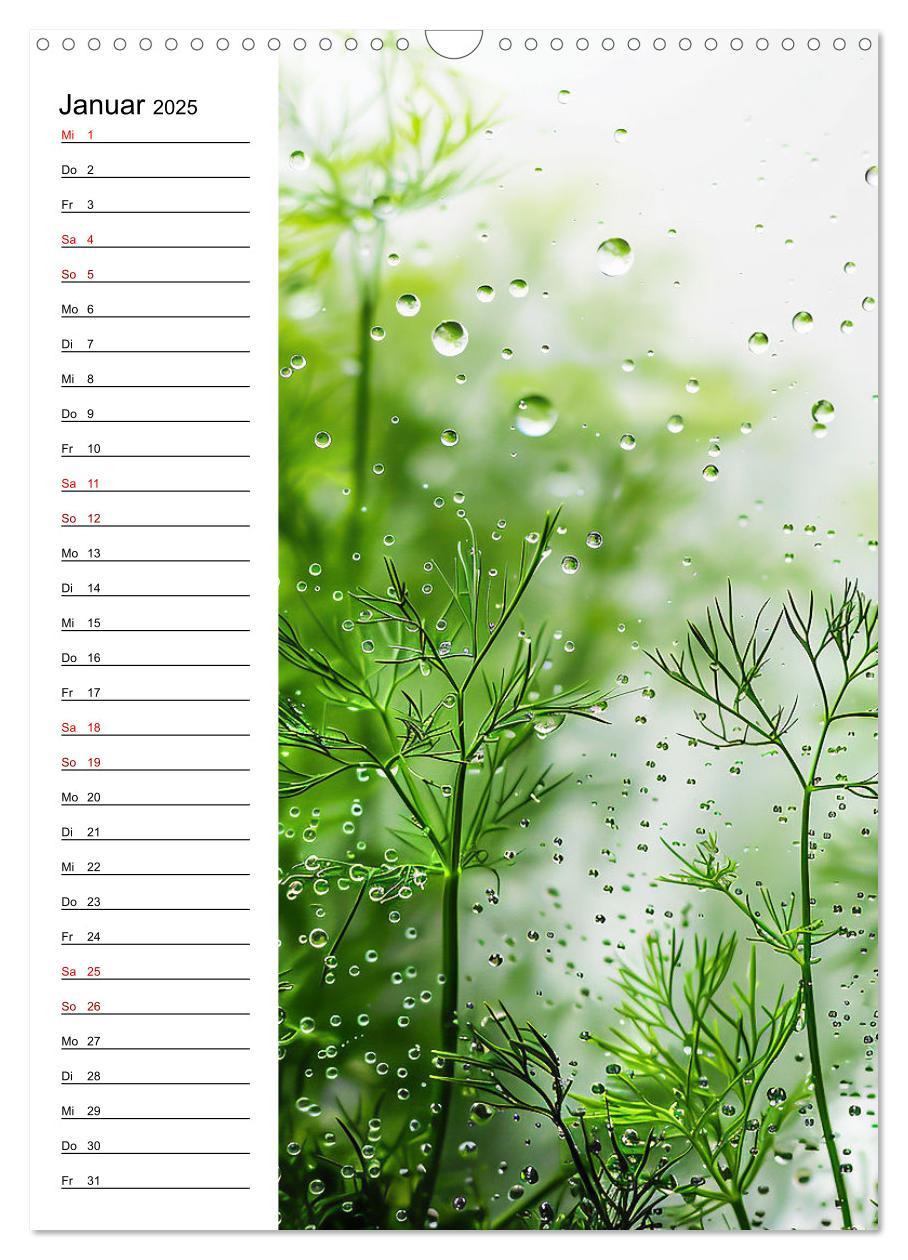 Bild: 9783457140659 | Kräuterfrische (Wandkalender 2025 DIN A3 hoch), CALVENDO...