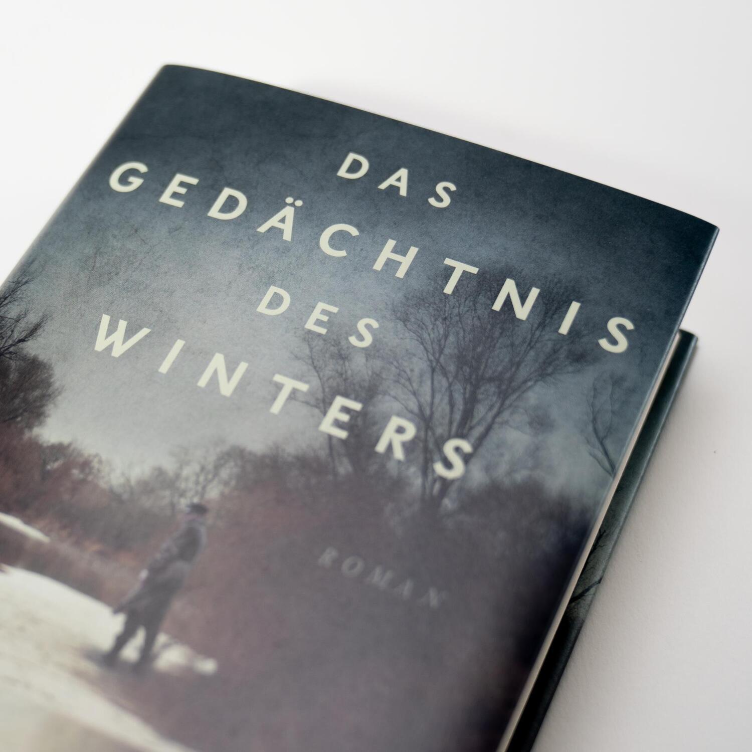 Bild: 9783365001004 | Das Gedächtnis des Winters | Roman | Steven Conte | Buch | 448 S.