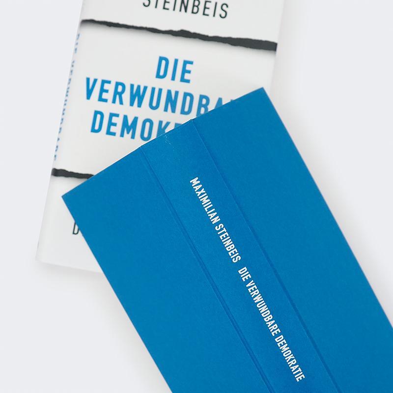 Bild: 9783446281295 | Die verwundbare Demokratie | Maximilian Steinbeis | Buch | 304 S.