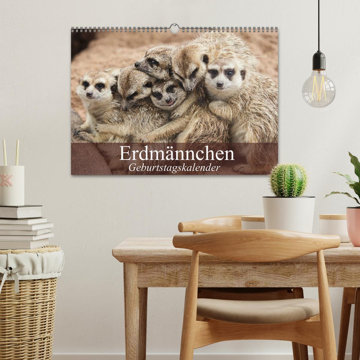 Bild: 9783435672738 | Erdmännchen (Wandkalender 2025 DIN A3 quer), CALVENDO Monatskalender