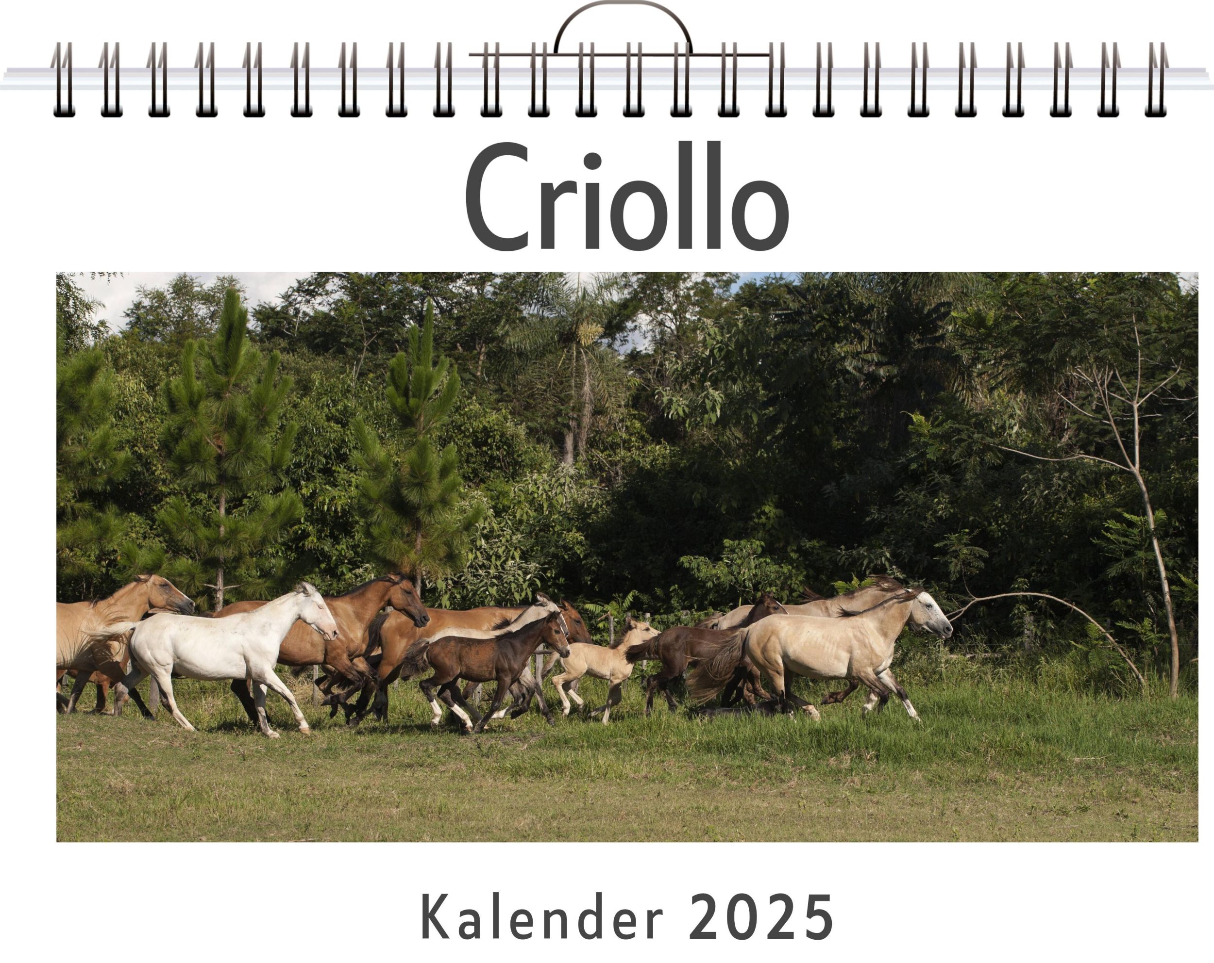 Cover: 9783759132246 | Criollo | Sophia Maier | Kalender | Kalender | 14 S. | Deutsch