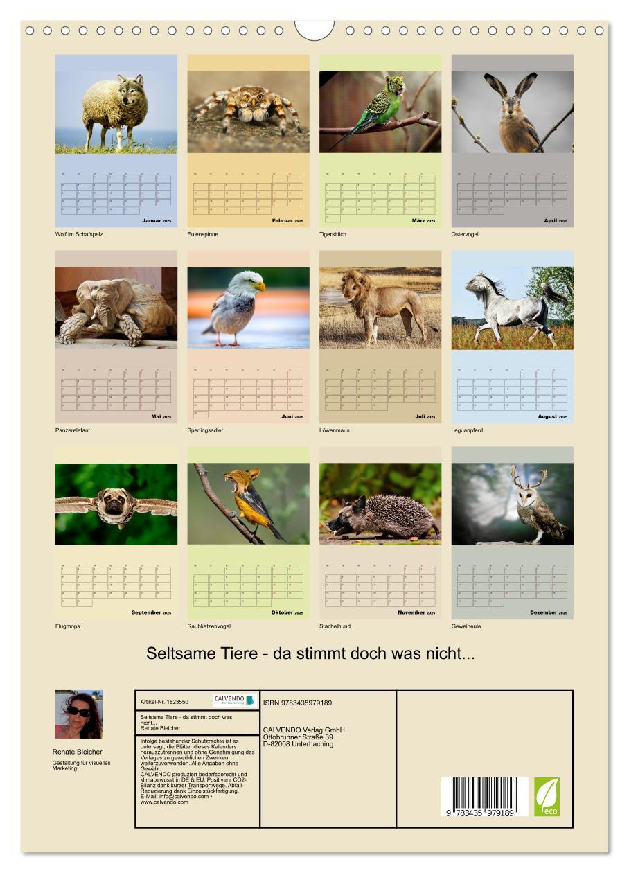 Bild: 9783435979189 | Seltsame Tiere - da stimmt doch was nicht... (Wandkalender 2025 DIN...