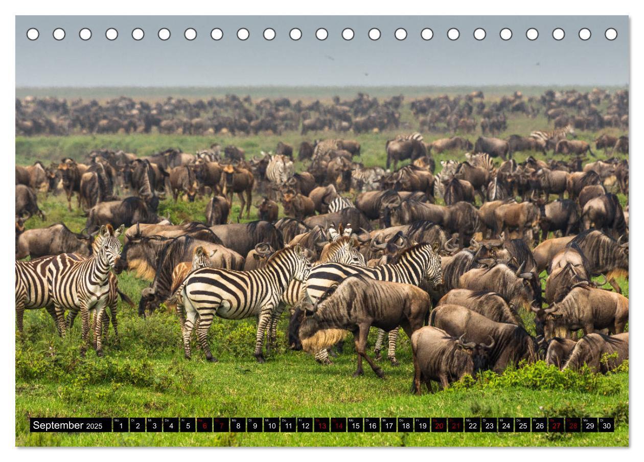 Bild: 9783435341252 | Tansania - Tierwanderung in der Serengeti (Tischkalender 2025 DIN...