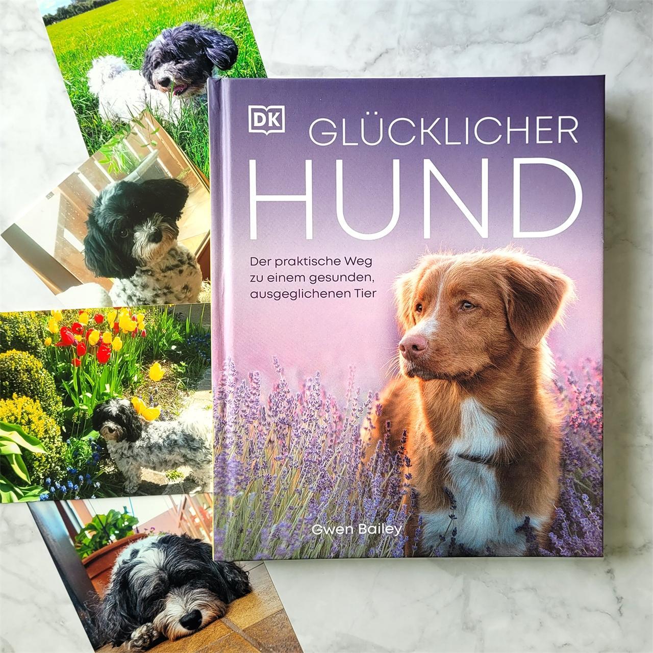 Bild: 9783831043958 | Glücklicher Hund | Gwen Bailey | Buch | 224 S. | Deutsch | 2022