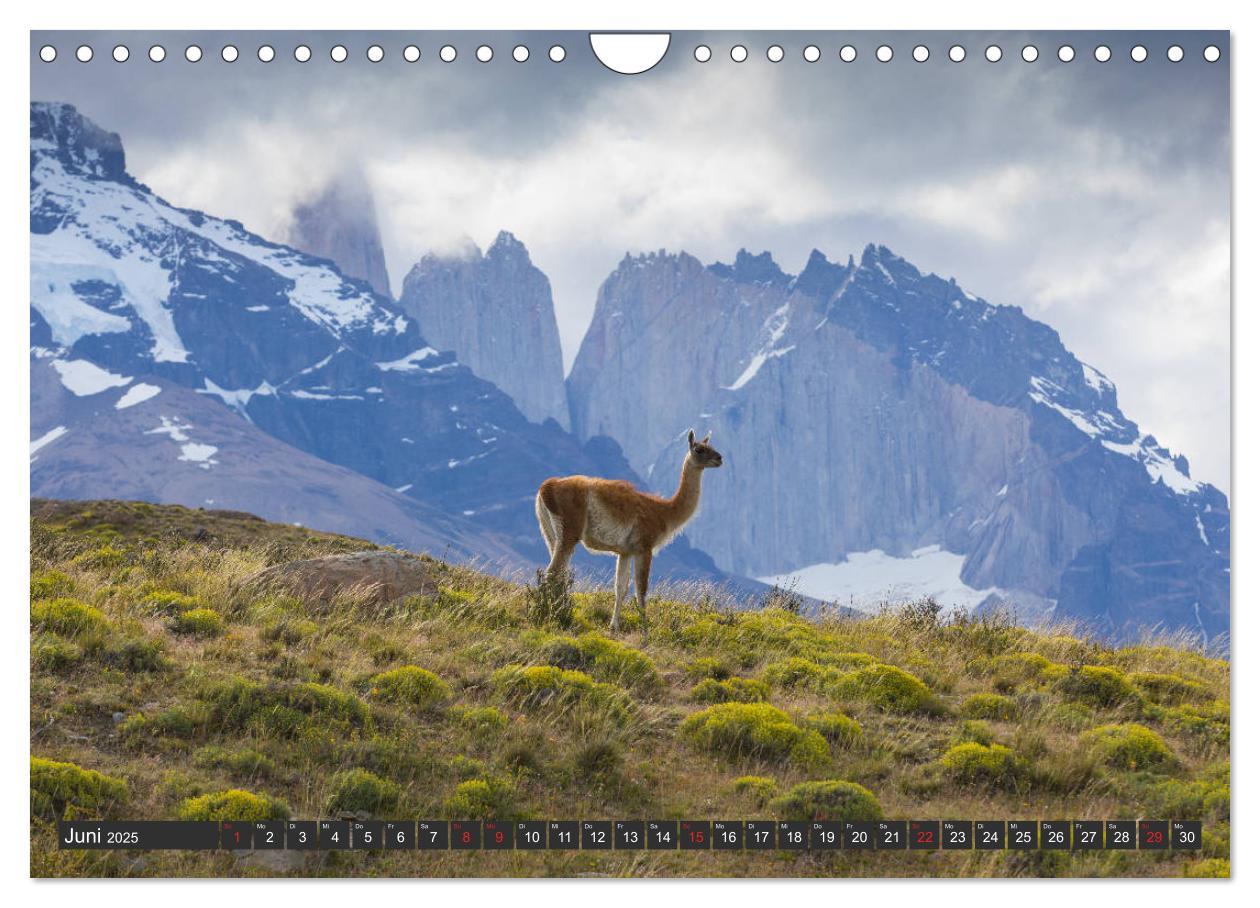 Bild: 9783435220908 | Traumwelt Chile (Wandkalender 2025 DIN A4 quer), CALVENDO...