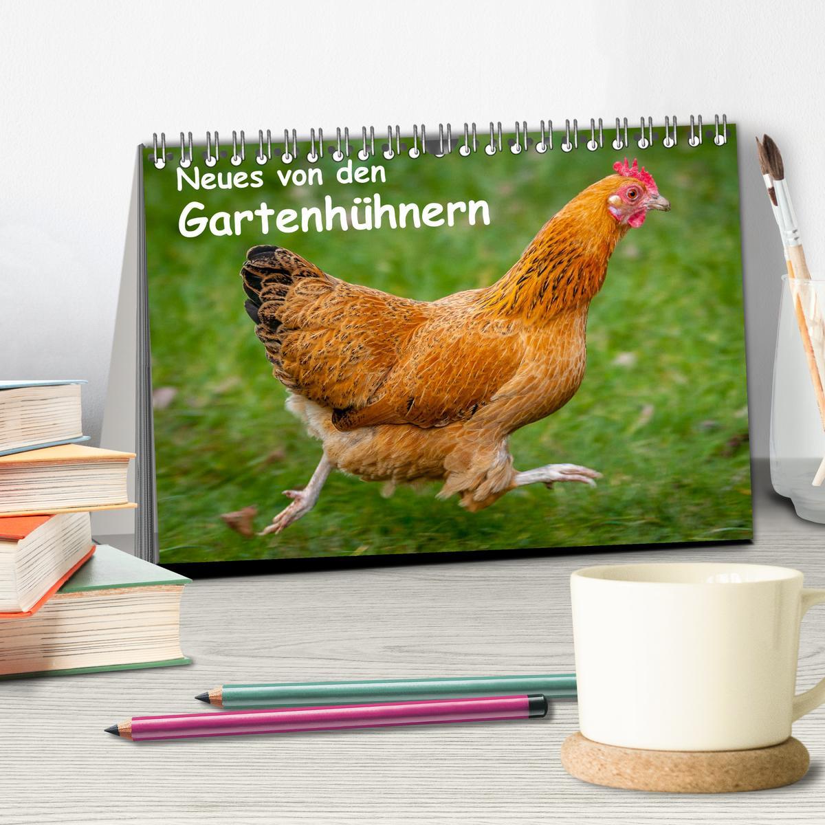 Bild: 9783435448142 | Neues von den Gartenhühnern (Tischkalender 2025 DIN A5 quer),...