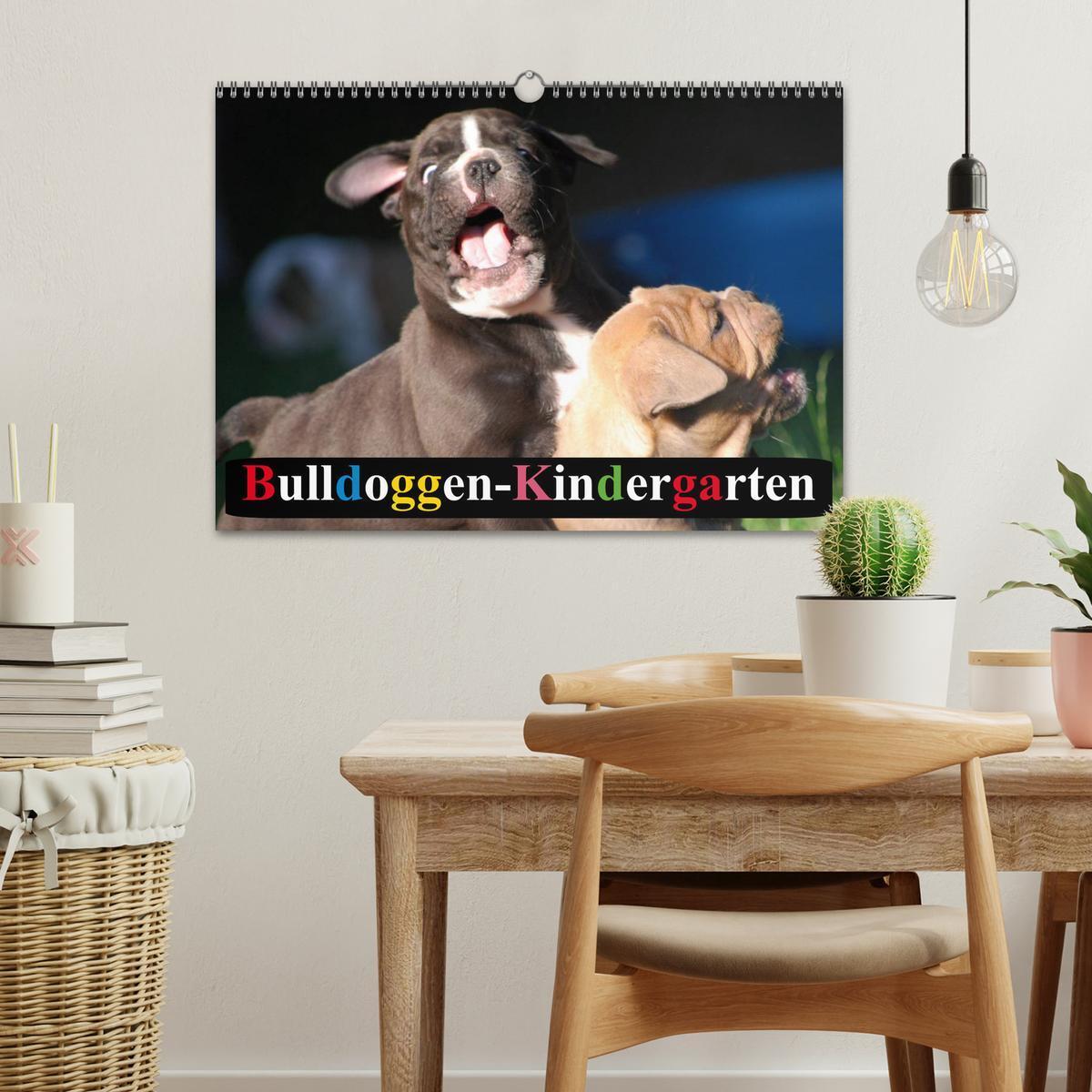 Bild: 9783435729296 | Bulldoggen-Kindergarten (Wandkalender 2025 DIN A3 quer), CALVENDO...