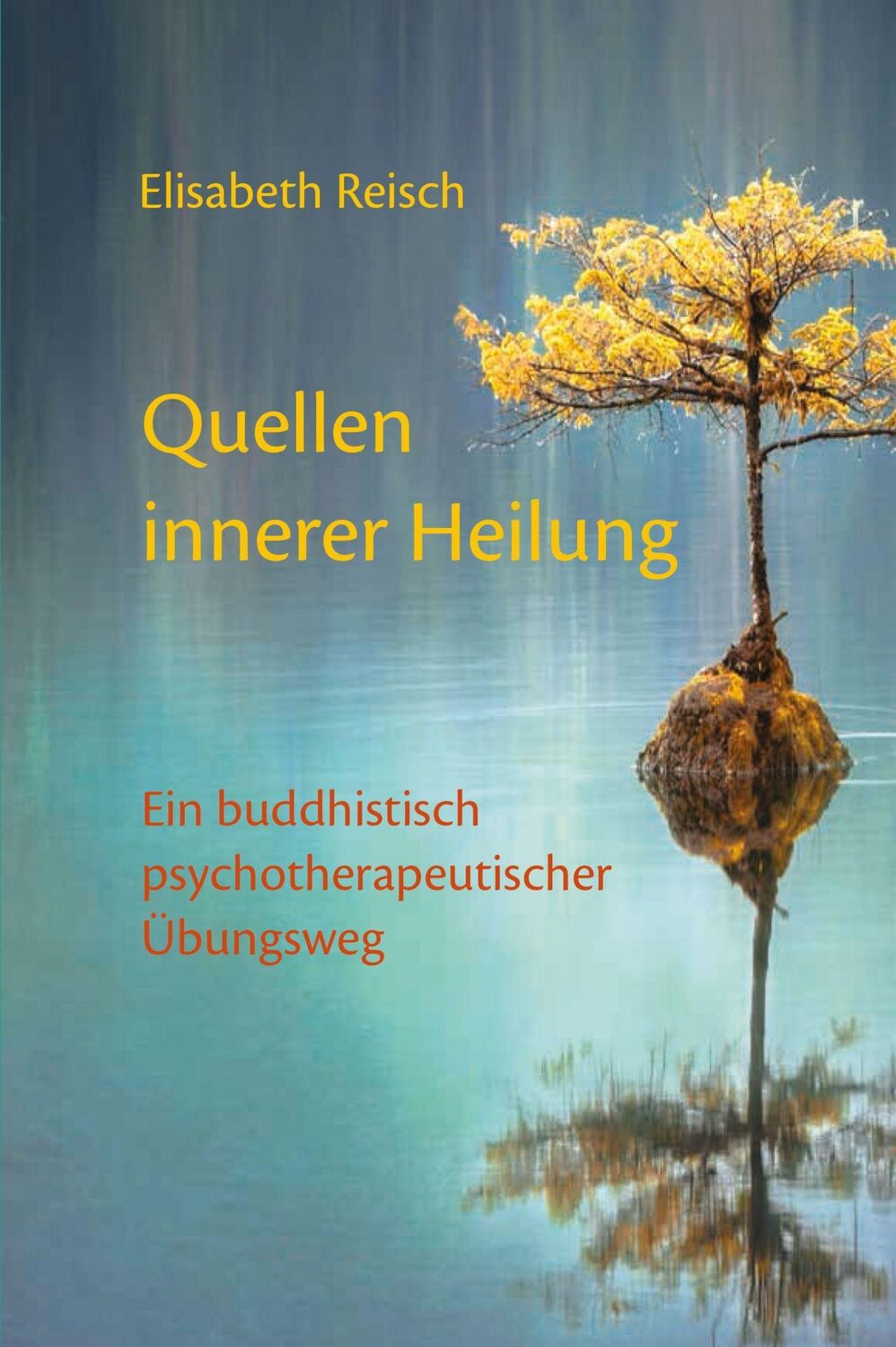 Cover: 9783944885315 | Quellen innerer Heilung | Elisabeth Reisch | Taschenbuch | 160 S.