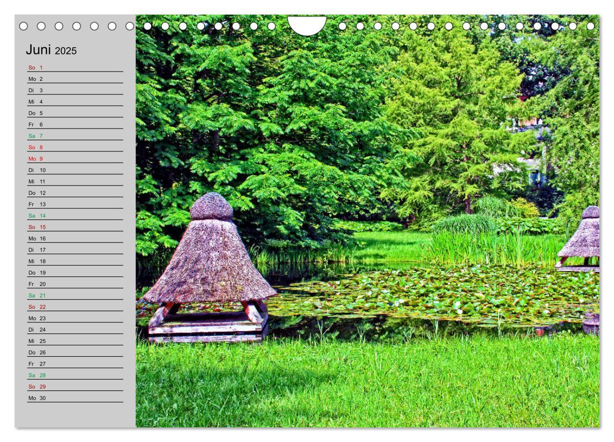 Bild: 9783435353859 | Ein Sommer in Malente (Wandkalender 2025 DIN A4 quer), CALVENDO...