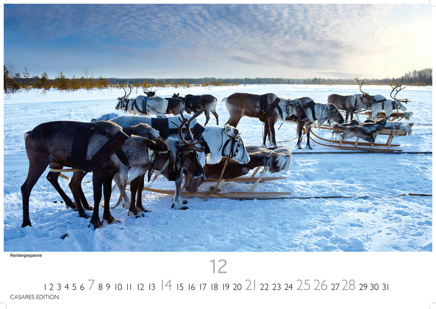 Bild: 9781835242025 | Finnland 2025 L 35x50cm | Kalender | 14 S. | Deutsch | 2025