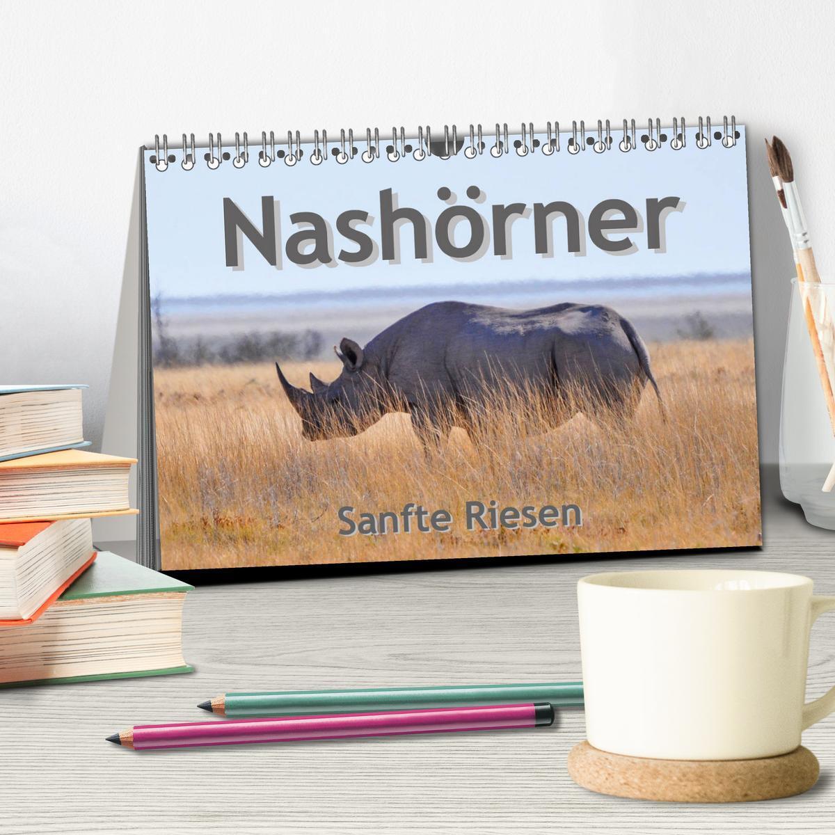 Bild: 9783435330676 | Nashörner - Sanfte Riesen (Tischkalender 2025 DIN A5 quer),...