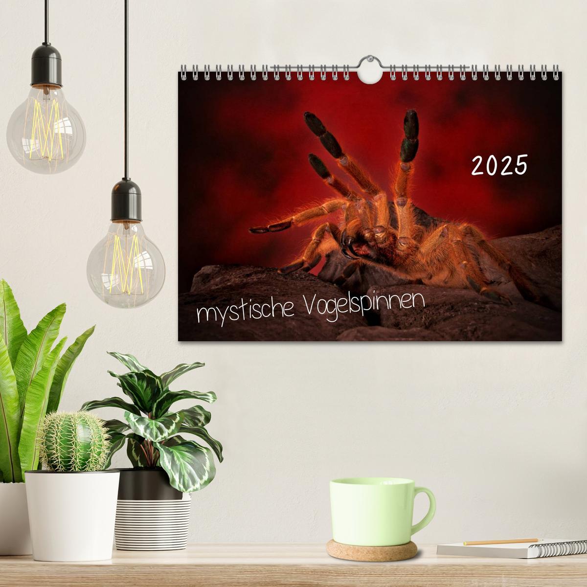 Bild: 9783435526994 | Mystische Vogelspinnen (Wandkalender 2025 DIN A4 quer), CALVENDO...