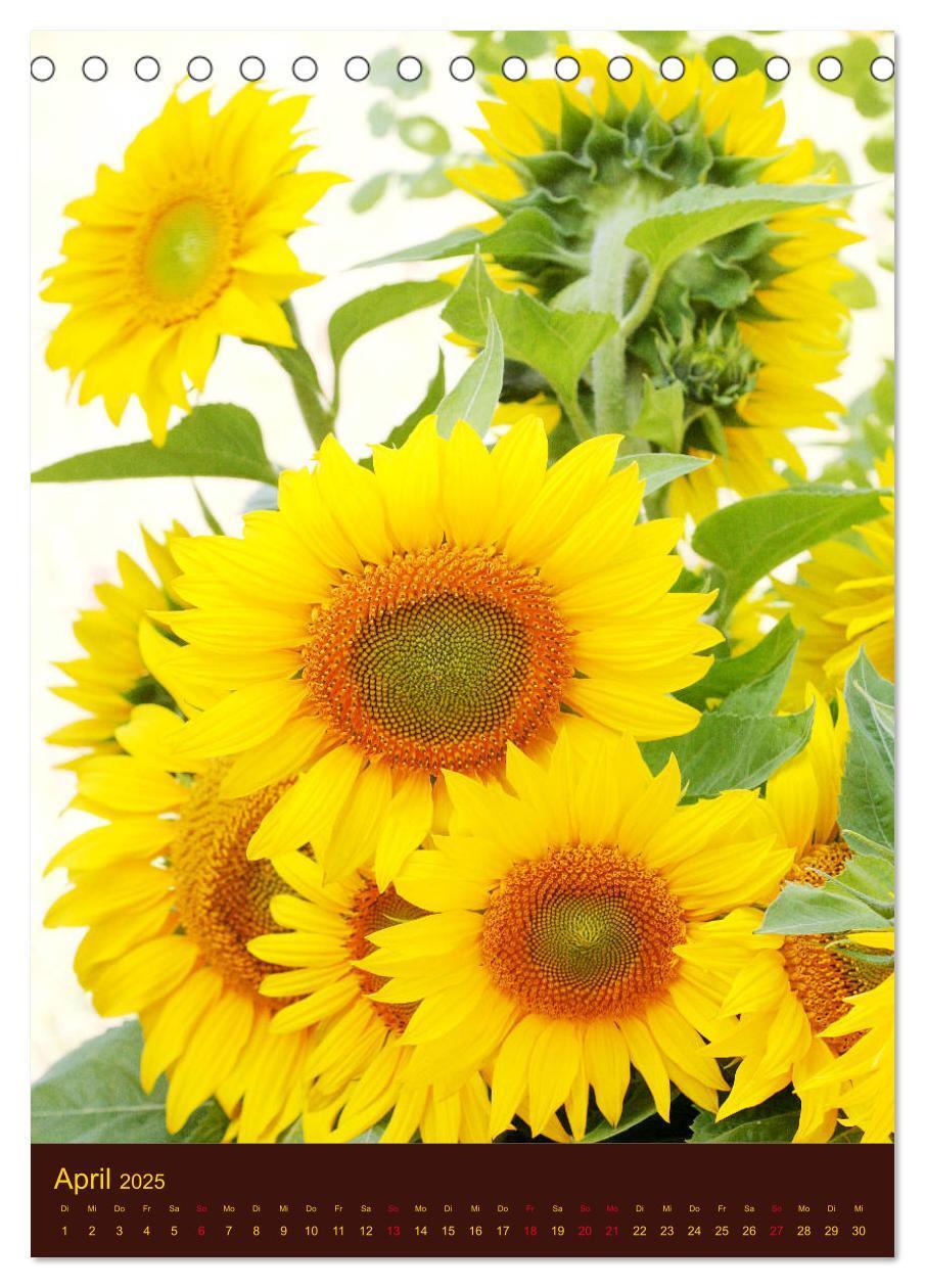 Bild: 9783435950812 | Sonnenblumen - Strahlende Blüten (Tischkalender 2025 DIN A5 hoch),...