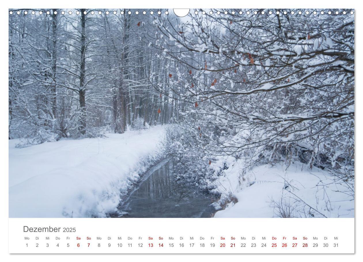 Bild: 9783457198612 | Spreewald - Ein Naturparadies (Wandkalender 2025 DIN A3 quer),...