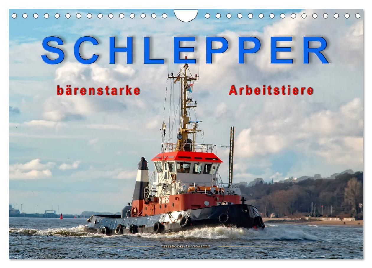 Cover: 9783435278664 | Schlepper - bärenstarke Arbeitstiere (Wandkalender 2025 DIN A4...