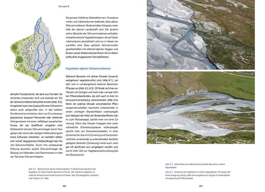 Bild: 9783258083681 | Biodiversität zwischen Wasser und Land | Florian Altermatt (u. a.)