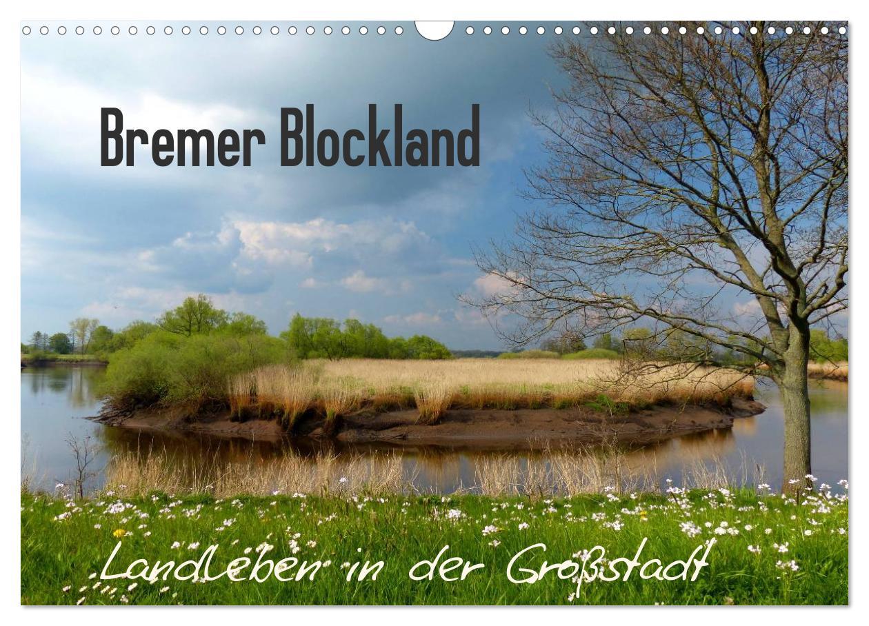 Cover: 9783435635146 | Bremer Blockland - Landleben in der Großstadt (Wandkalender 2025...