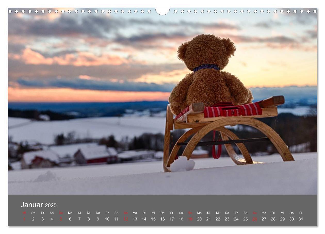 Bild: 9783435503063 | Travelling Teddy 2025 (Wandkalender 2025 DIN A3 quer), CALVENDO...