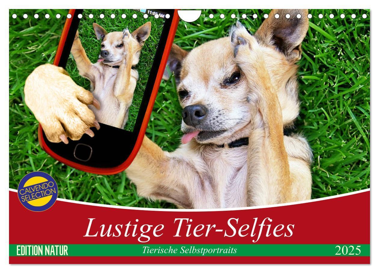 Cover: 9783435422029 | Lustige Tier-Selfies. Tierische Selbstportraits (Wandkalender 2025...