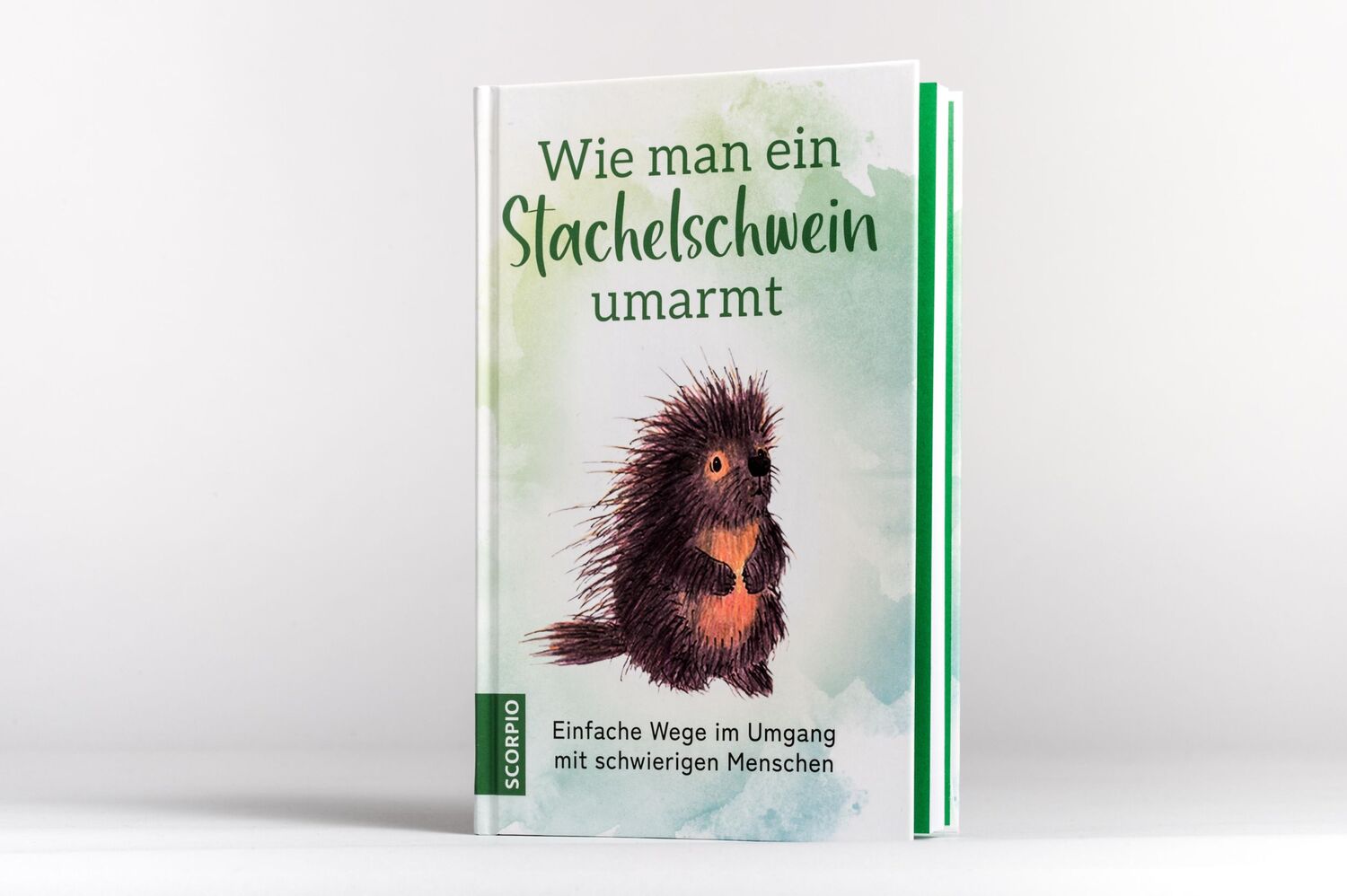 Bild: 9783958035744 | Wie man ein Stachelschwein umarmt | Ulla Rahn-Huber | Buch | 120 S.