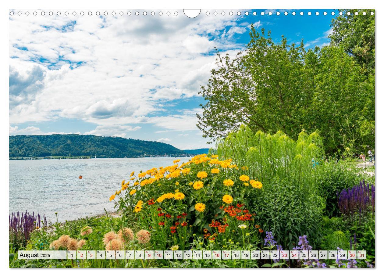 Bild: 9783435071722 | Traumhafter Bodensee (Wandkalender 2025 DIN A3 quer), CALVENDO...